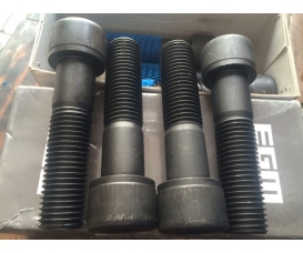 Bulong LG trụ thép